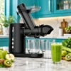 عصاره‌گیر 600 وات بیسمارک مدل BM354
